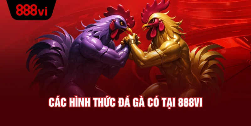 Cược Linh Hoạt – Tùy Chiến Cục, Tùy Túi Tiền